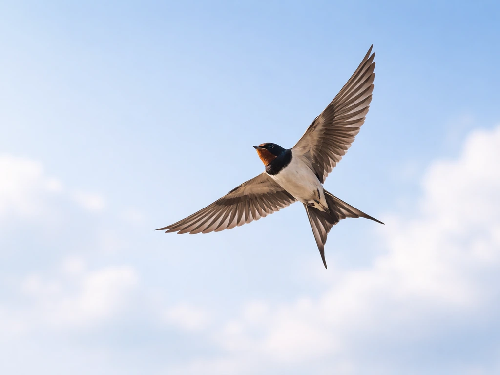 A small bird soaring upward in an open sky with bright, uplifting light.