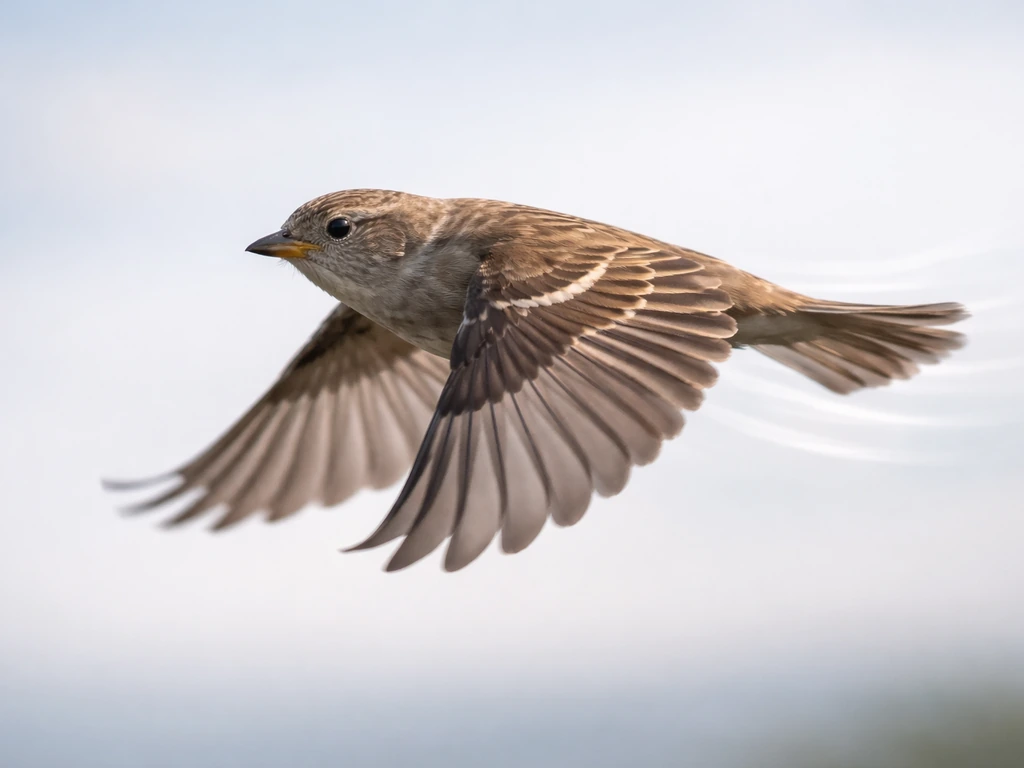 Close-up of a bird in flight with subtle, realistic wing and airflow emphasis, showing flight mechanics