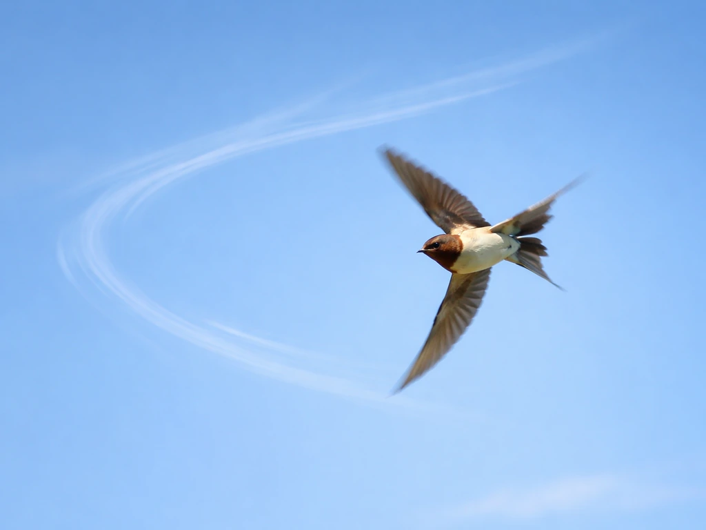 A small bird banks in windy air, shown near a blurred crosswind flow, looping through the sky.