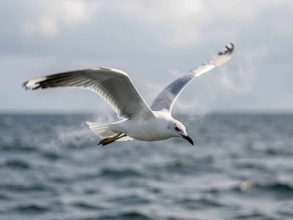 how do bird fly