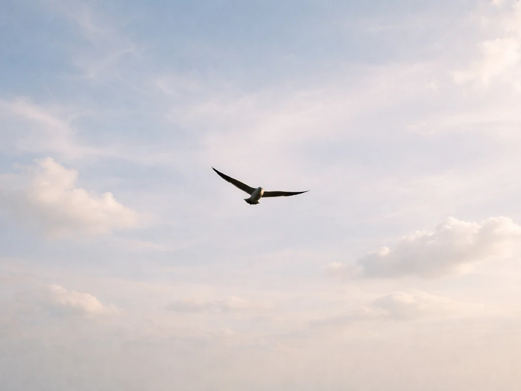 A bird flying high against an open sky with soft clouds, wings spread mid-flight.