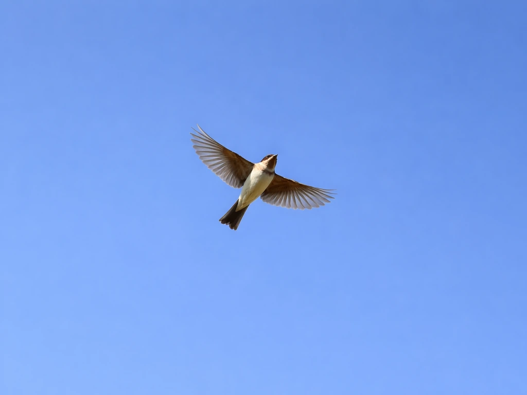 A bird flying overhead in clear literal flight against a blue sky.