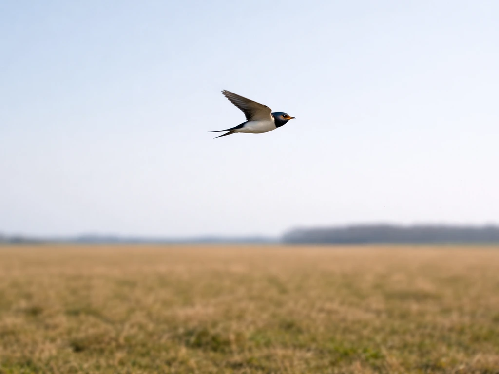 A bird gliding midair above a ground line, with natural motion cues suggesting height and speed together.
