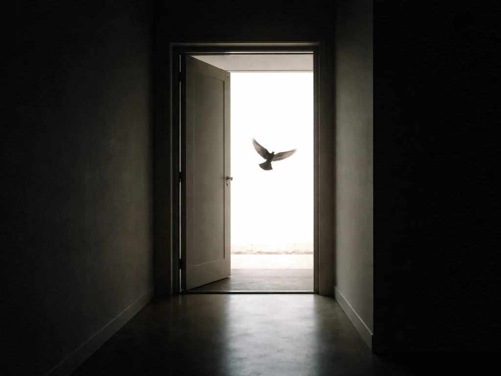this bird has flown meaning
