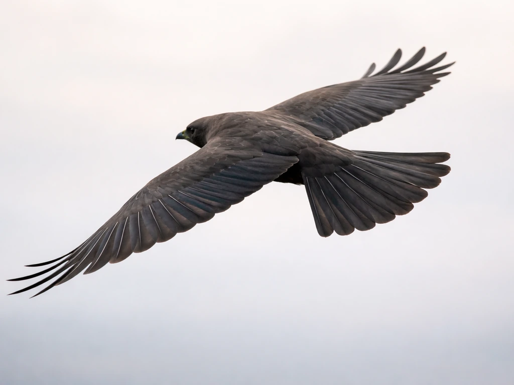 Close-up of bird-like wing and tail control surfaces in flight, showing pitch, roll, and yaw adjustments.